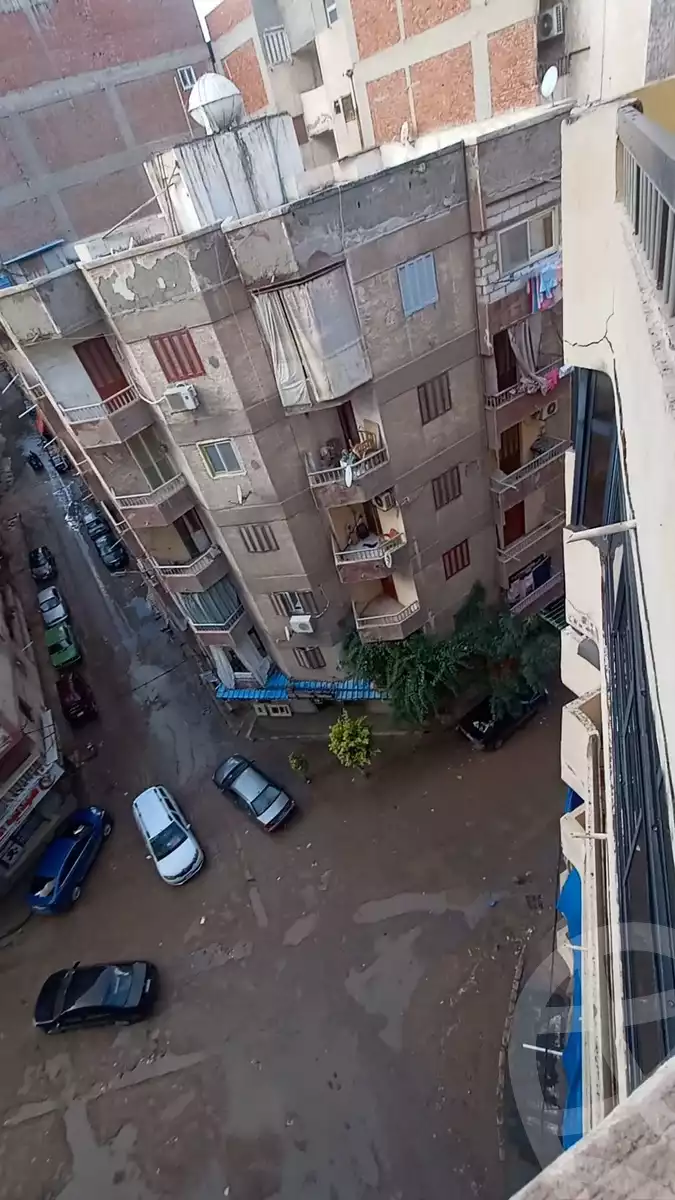 https://aqarmap.com.eg/en/listing/5630696-for-sale-alexandria-l-jmy-lbytsh-sabrin-st