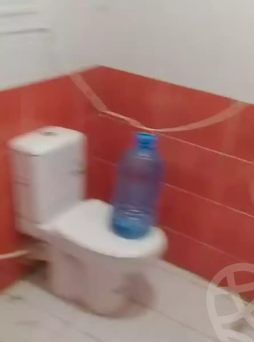 https://aqarmap.com.eg/en/listing/5632509-for-rent-alexandria-l-jmy-lbytsh-el-hanafeya-st