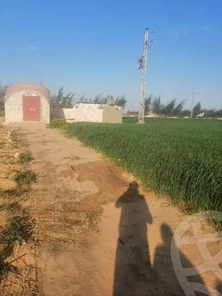 https://aqarmap.com.eg/en/listing/5634189-for-sale-alexandria-cairo-alexandria-desert-road