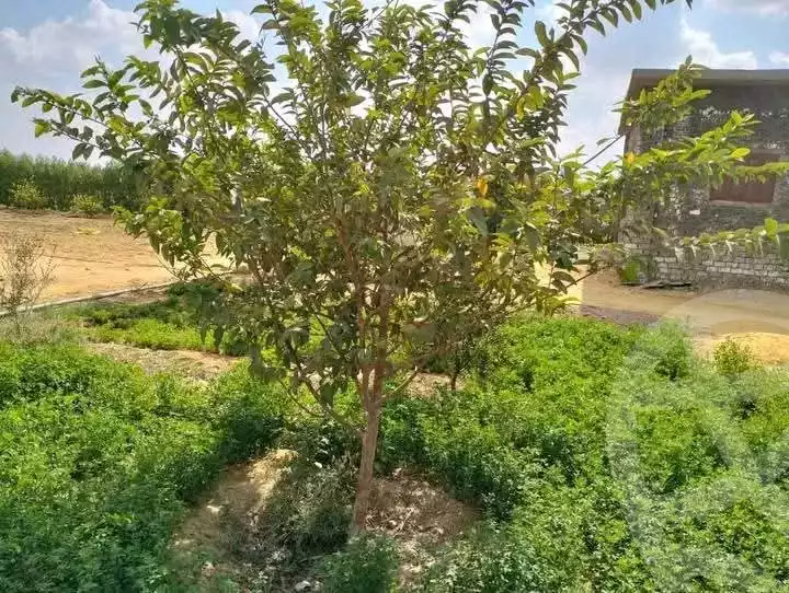 https://aqarmap.com.eg/en/listing/5635920-for-sale-ismailia-ismailia-city