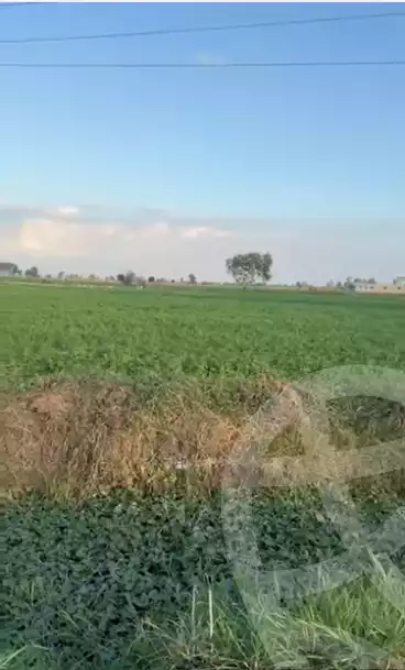 https://aqarmap.com.eg/en/listing/5636773-for-sale-dakahlia-mansoura-met-el-sarem