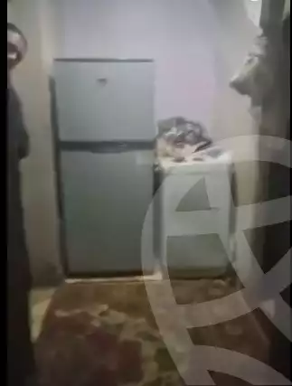 https://aqarmap.com.eg/en/listing/5639521-for-sale-cairo-el-zawiya-el-hamra-salama-afifi-st