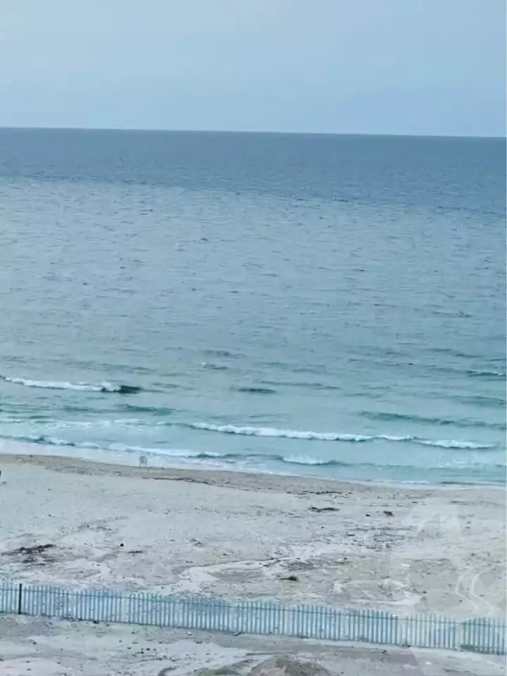 https://aqarmap.com.eg/en/listing/5644498-for-sale-alexandria-l-jmy-shataa-el-nakheel
