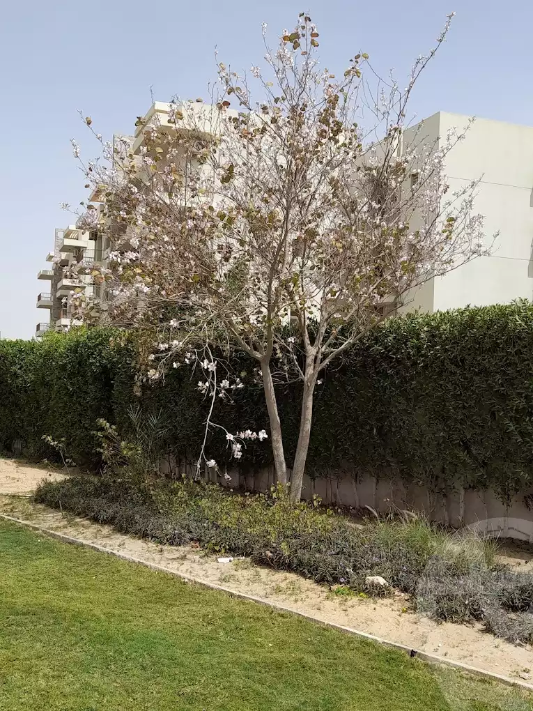 https://aqarmap.com.eg/en/listing/5645215-for-rent-cairo-el-sheikh-zayed-city-compounds-dh-drys