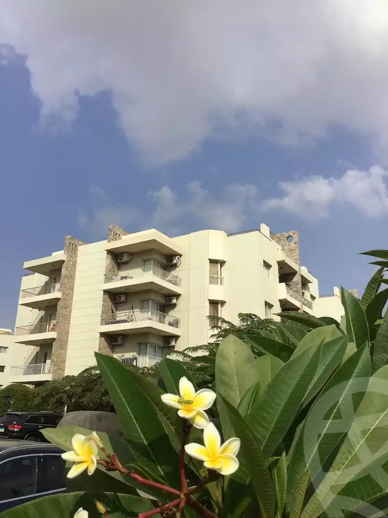 https://aqarmap.com.eg/en/listing/5645236-for-rent-cairo-el-sheikh-zayed-city-compounds-dh-drys