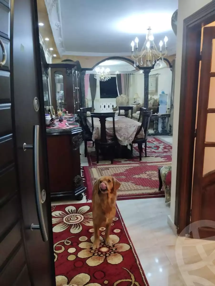 https://aqarmap.com.eg/en/listing/5649877-for-sale-alexandria-l-jmy-el-hanouvel-kasr-al-quiri-st-1