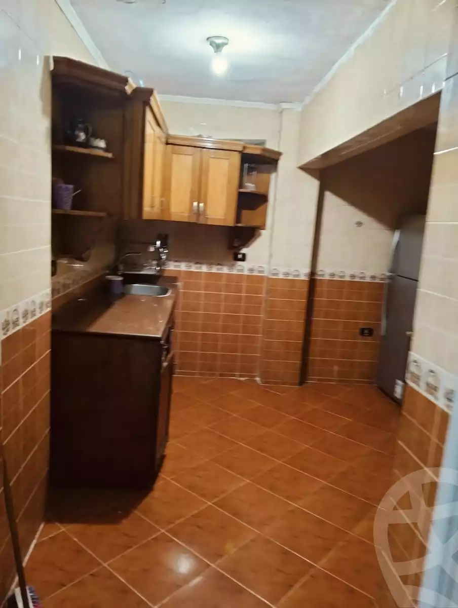 https://aqarmap.com.eg/en/listing/5650532-for-rent-alexandria-miami-khld-bn-lwlyd