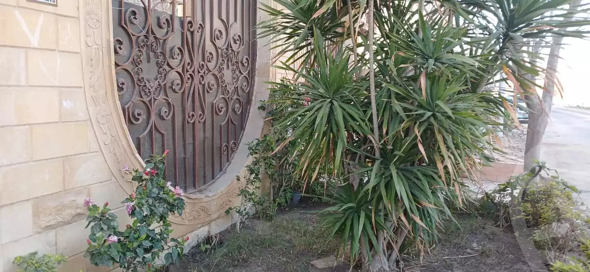 https://aqarmap.com.eg/en/listing/5650934-for-sale-cairo-6th-of-october-garb-someed-neighborhood-6th