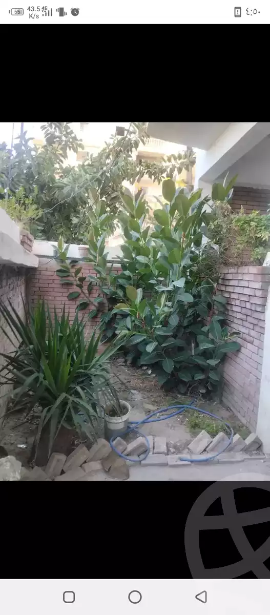 https://aqarmap.com.eg/en/listing/5658182-for-sale-alexandria-l-jmy-el-hanouvel-al-asdakaa-st