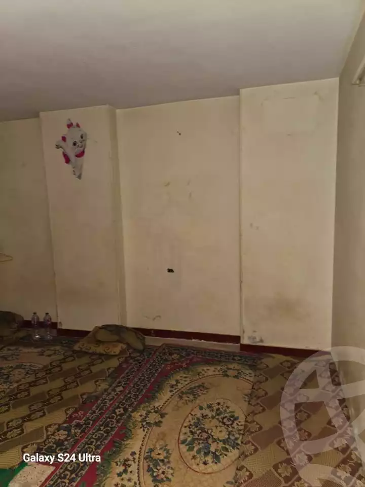 https://aqarmap.com.eg/en/listing/5659077-for-sale-cairo-ain-shams-jsr-lswys-gamal-abd-el-naser-st