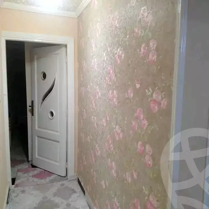 https://aqarmap.com.eg/en/listing/5663503-for-sale-alexandria-l-jmy-el-hanouvel