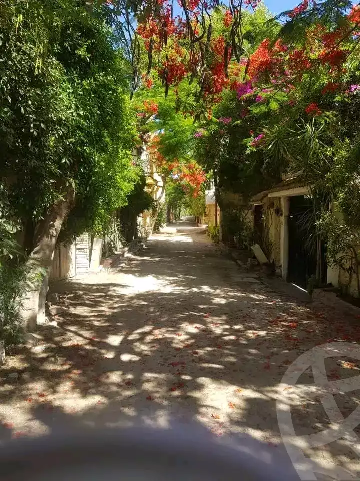 https://aqarmap.com.eg/en/listing/5666792-for-sale-alexandria-l-jmy-lbytsh-el-hanafeya-st