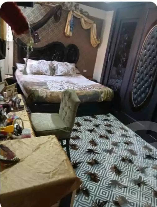 https://aqarmap.com.eg/en/listing/5668151-for-sale-alexandria-l-jmy-lbytsh-el-talkhawy-st