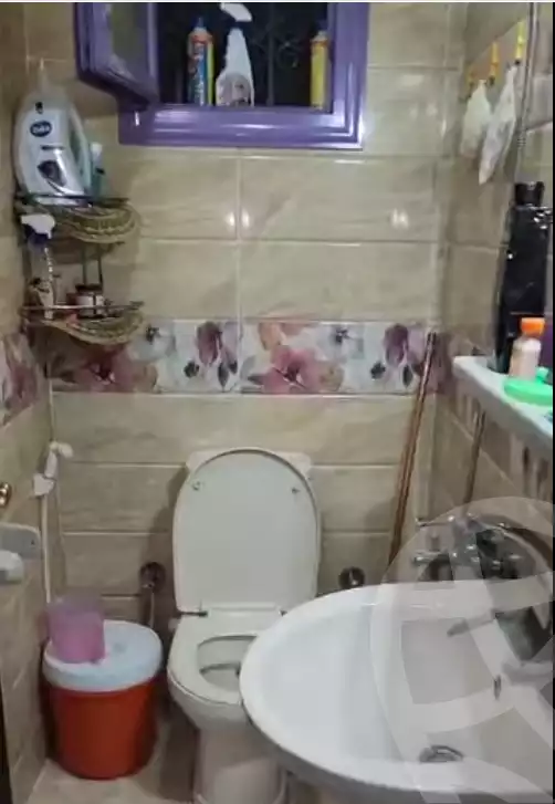 https://aqarmap.com.eg/en/listing/5672922-for-sale-cairo-ain-shams-ain-shams-el-sharkia-el-fairouz-st