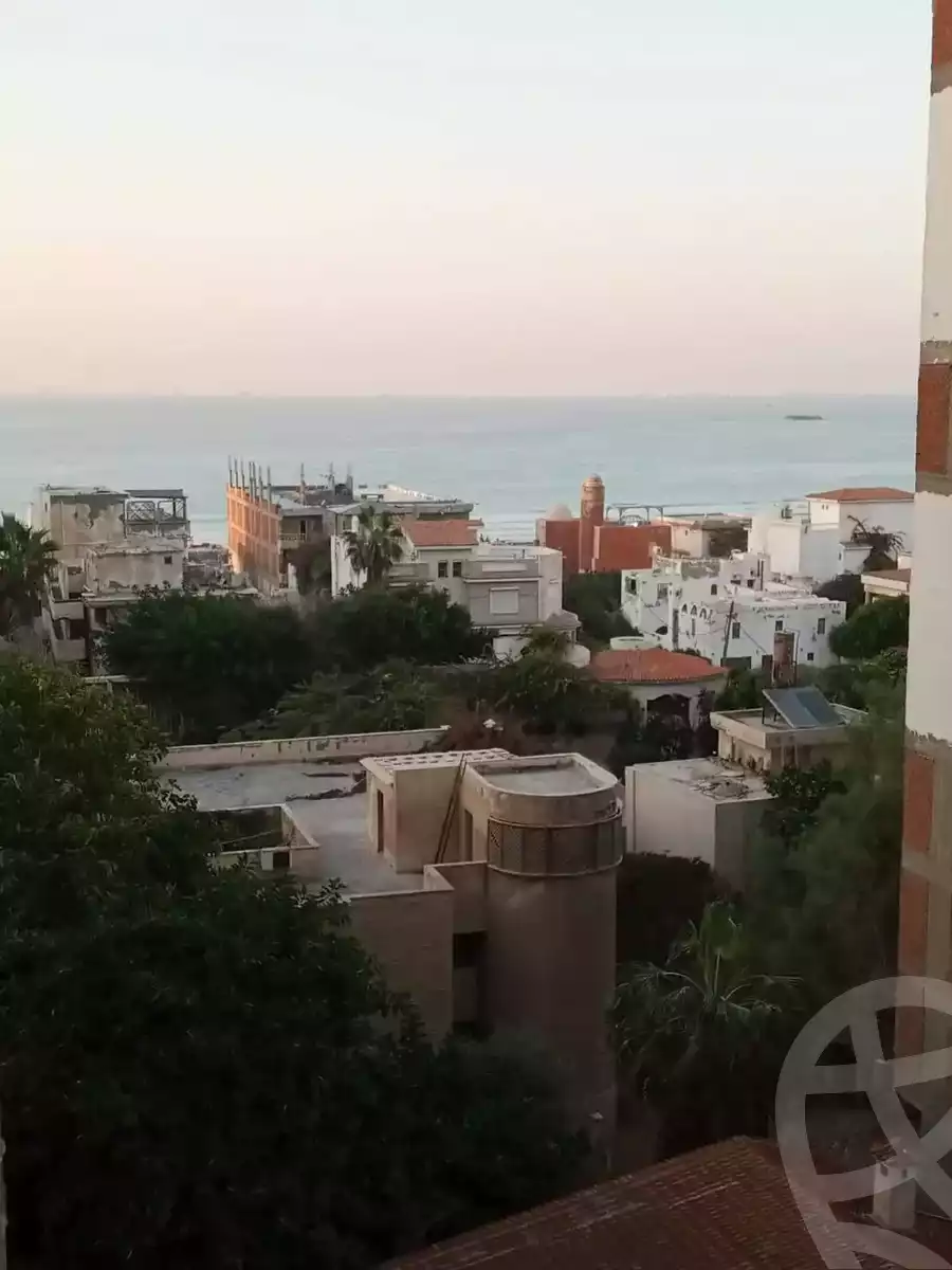 https://aqarmap.com.eg/en/listing/5673508-for-sale-alexandria-l-jmy-lbytsh-street-8