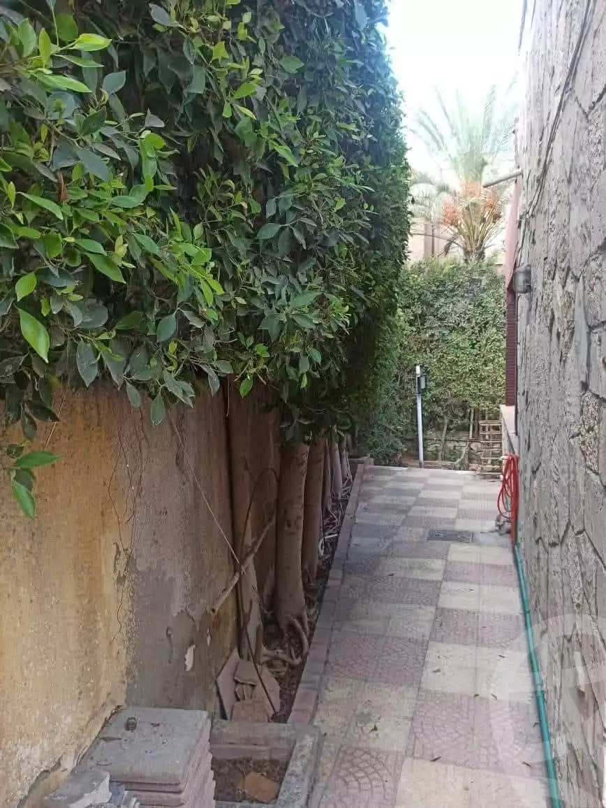 https://aqarmap.com.eg/en/listing/5675356-for-sale-alexandria-l-jmy-lbytsh-el-batal-ahmed-abd-el-aziz-belbis-st