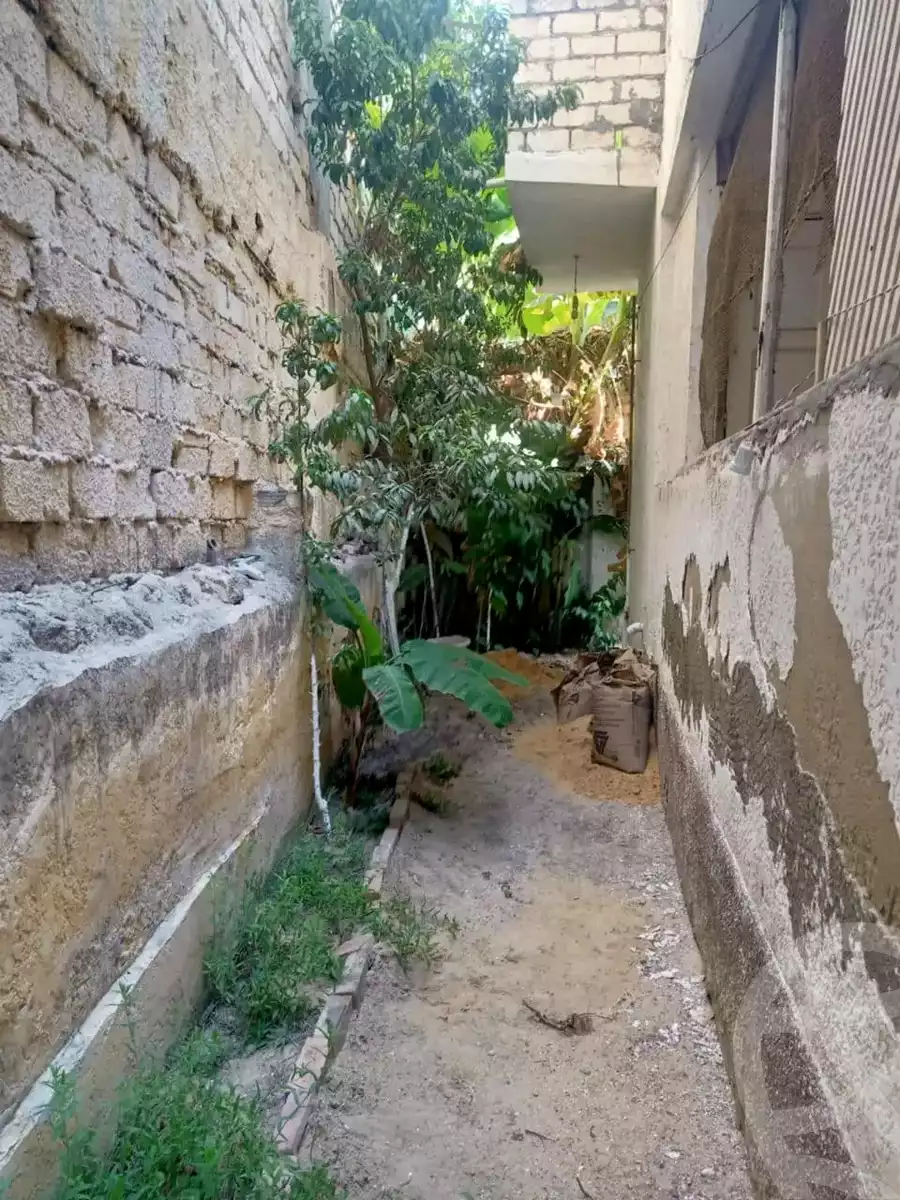 https://aqarmap.com.eg/en/listing/5676347-for-sale-alexandria-l-jmy-lbytsh-al-aeda-al-kadema-st