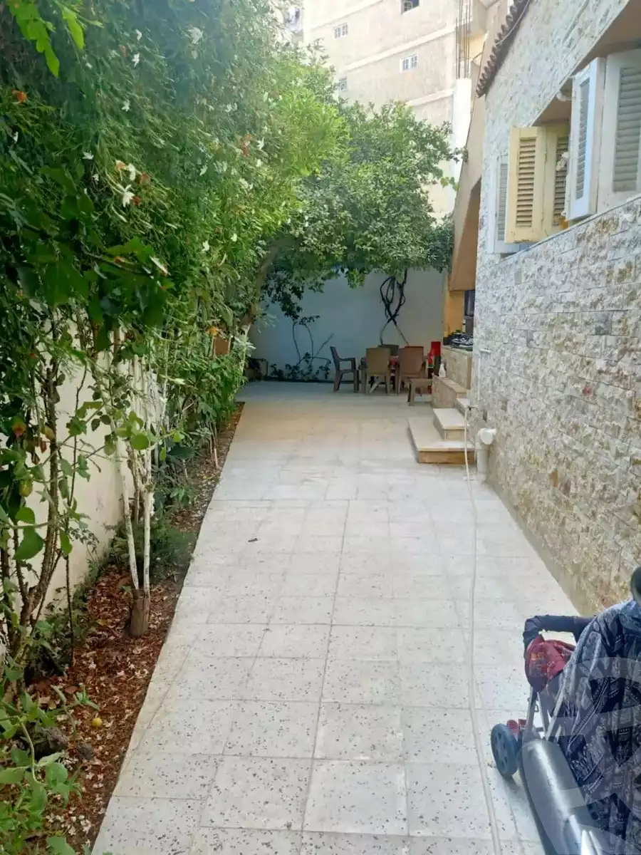 https://aqarmap.com.eg/en/listing/5676347-for-sale-alexandria-l-jmy-lbytsh-al-aeda-al-kadema-st