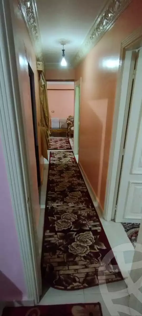 https://aqarmap.com.eg/en/listing/5681043-for-sale-alexandria-l-jmy-lbytsh-el-hanafeya-st
