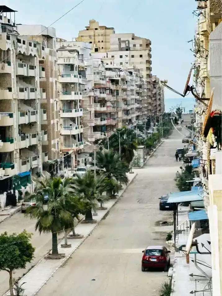 https://aqarmap.com.eg/en/listing/5685083-for-sale-alexandria-l-jmy-shataa-el-nakheel