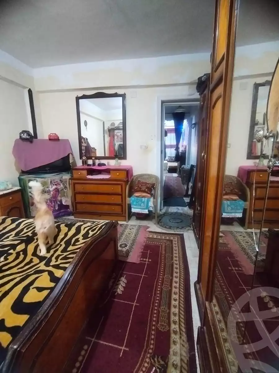 https://aqarmap.com.eg/en/listing/5686823-for-sale-alexandria-l-jmy-lbytsh-el-hay-st