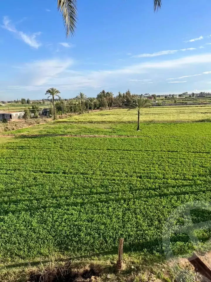 https://aqarmap.com.eg/ar/listing/5687493-for-sale-alexandria-cairo-alexandria-desert-road