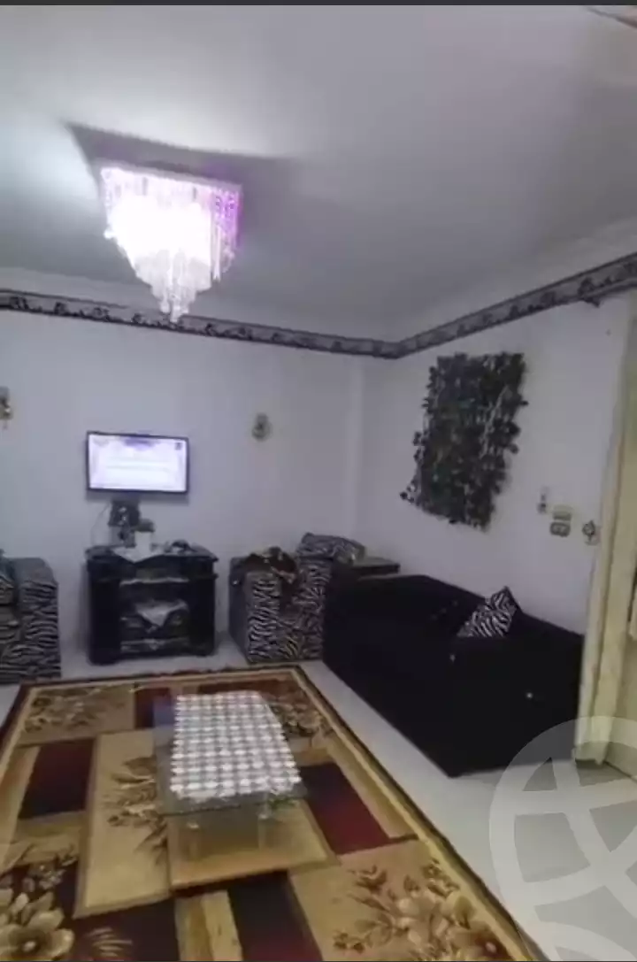 https://aqarmap.com.eg/ar/listing/5693669-for-rent-cairo-nasr-city-masaken-el-shorouk