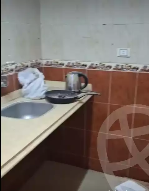 https://aqarmap.com.eg/en/listing/5701270-for-sale-cairo-ain-shams-yn-shms-lgrby