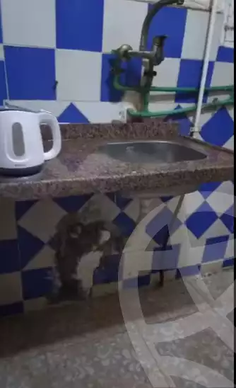 https://aqarmap.com.eg/en/listing/5701757-for-sale-alexandria-lm-mwr-el-maamora-el-balad