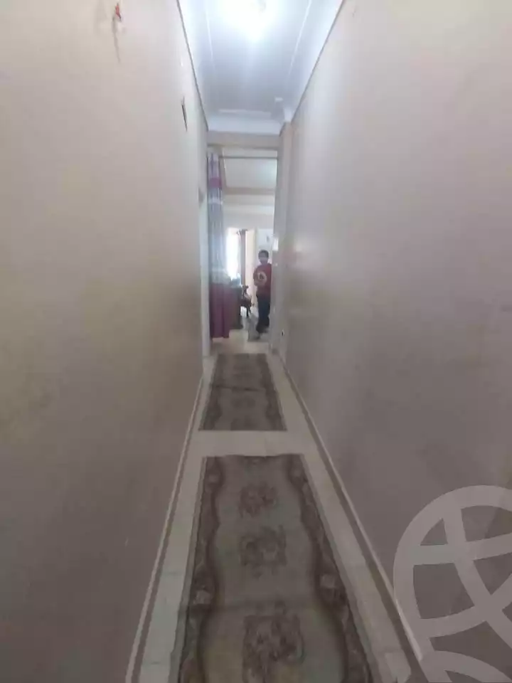 https://aqarmap.com.eg/en/listing/5702749-for-sale-alexandria-shds