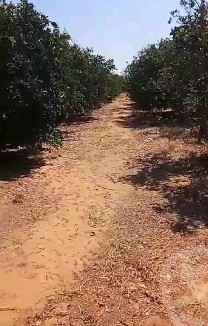 https://aqarmap.com.eg/ar/listing/5703371-for-sale-alexandria-cairo-alexandria-desert-road