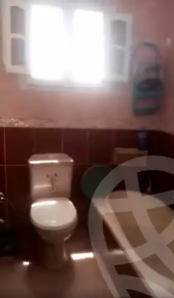 https://aqarmap.com.eg/ar/listing/5703398-for-sale-alexandria-l-jmy-lbytsh-mohamed-el-fardi-st
