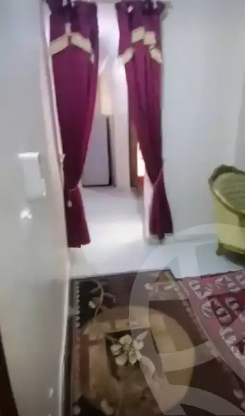 https://aqarmap.com.eg/en/listing/5707262-for-rent-alexandria-miami-khld-bn-lwlyd