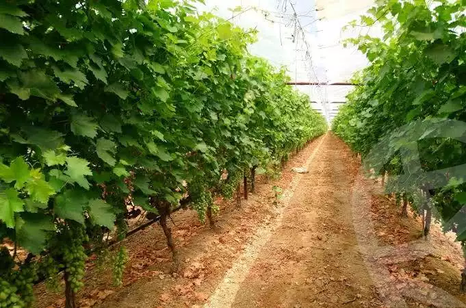 https://aqarmap.com.eg/en/listing/5718229-for-sale-alexandria-cairo-alexandria-desert-road