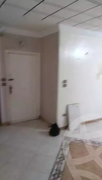 https://aqarmap.com.eg/en/listing/5724025-for-sale-alexandria-l-jmy-shataa-el-nakheel-haridy-st