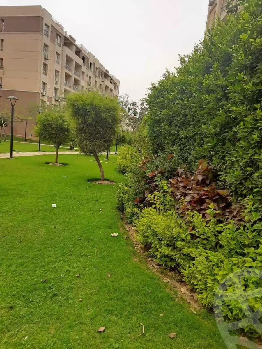 https://aqarmap.com.eg/ar/listing/5724263-for-rent-cairo-new-cairo-madinaty-seventh-zone-buildings-mdynty-by-7