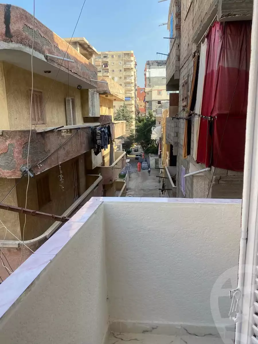 https://aqarmap.com.eg/en/listing/5726595-for-sale-alexandria-l-jmy-lbytsh-qased-kareem-st
