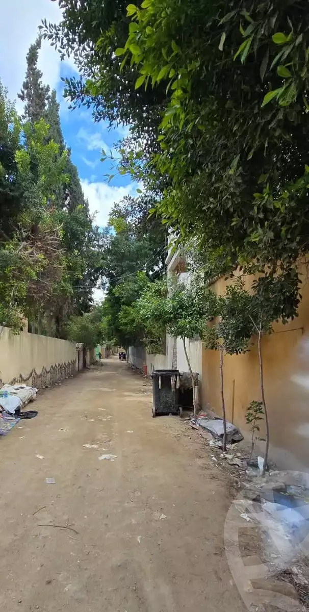 https://aqarmap.com.eg/en/listing/5729759-for-sale-alexandria-l-jmy-el-hanouvel-el-salam-st