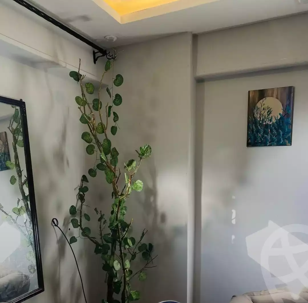 https://aqarmap.com.eg/en/listing/5735935-for-sale-alexandria-l-jmy-shataa-el-nakheel-no-7-st