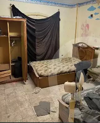 https://aqarmap.com.eg/en/listing/5736748-for-sale-cairo-el-shorouk-skn-lshbb-100m