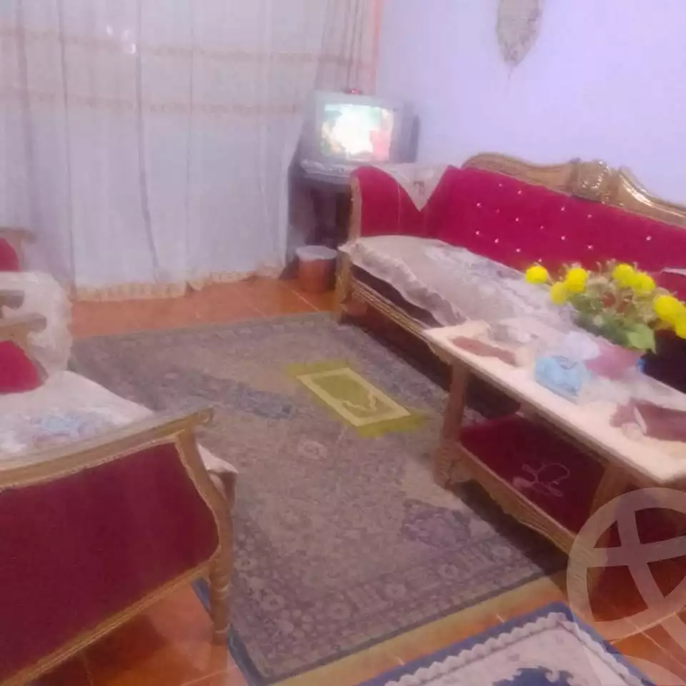https://aqarmap.com.eg/ar/listing/5738270-for-sale-alexandria-l-jmy-lbytsh-el-hay-st