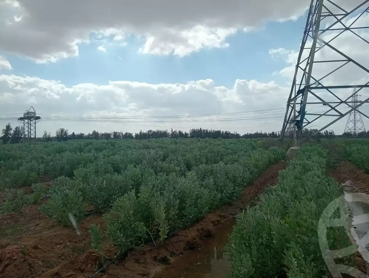 https://aqarmap.com.eg/ar/listing/5739046-for-sale-alexandria-cairo-alexandria-desert-road