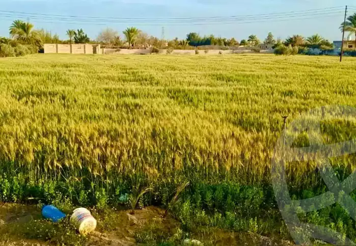 https://aqarmap.com.eg/en/listing/5739872-for-sale-beheira-wadi-el-natrun