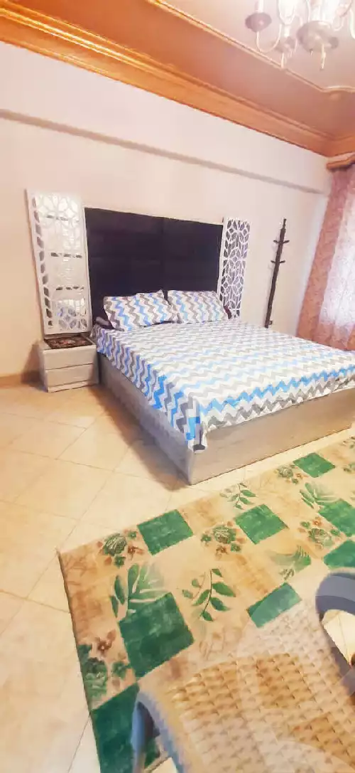 https://aqarmap.com.eg/ar/listing/5742195-for-rent-cairo-manial-manial-museum-st