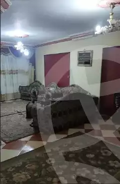 https://aqarmap.com.eg/en/listing/5742606-for-rent-alexandria-miami-shr-jml-bd-lnsr