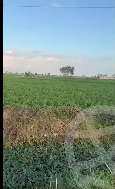 https://aqarmap.com.eg/ar/listing/5743744-for-sale-dakahlia-mansoura-met-el-sarem