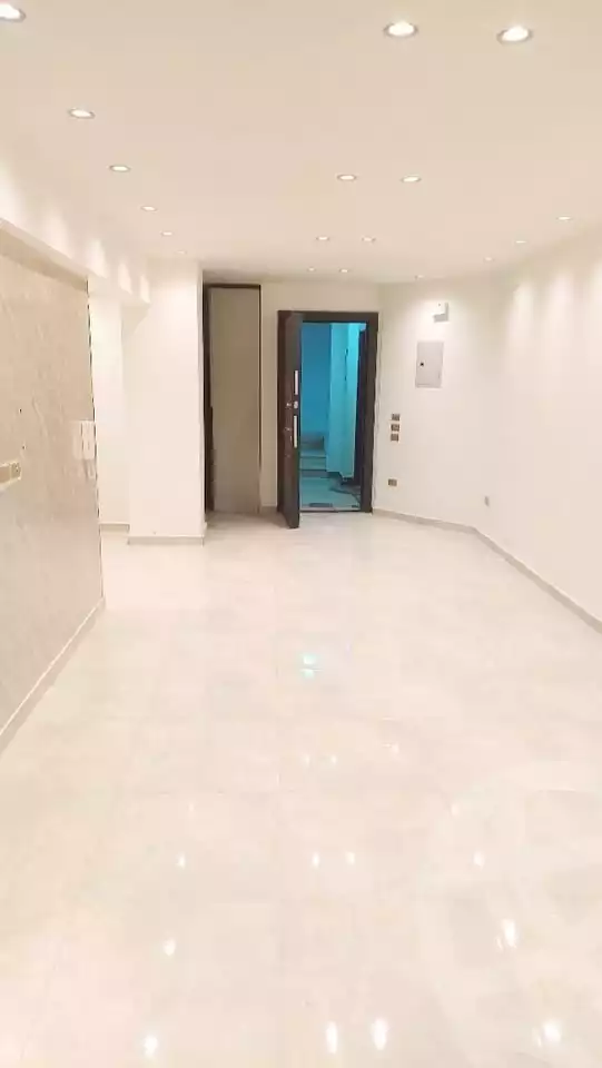 https://aqarmap.com.eg/en/listing/5745049-for-sale-cairo-mokattam-el-hadabah-el-wosta-el-mantaqa-el-olaa-baron-school-street