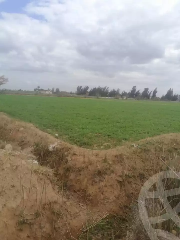 https://aqarmap.com.eg/en/listing/5745293-for-sale-alexandria-cairo-alexandria-desert-road