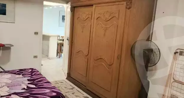 https://aqarmap.com.eg/en/listing/5748479-for-rent-cairo-al-zamalek