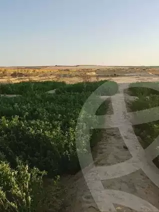 https://aqarmap.com.eg/en/listing/5749768-for-sale-marsa-matruh-siwa-oasis-wahet-siwaa-city